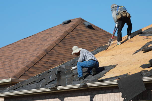 Best Skylight Installation and Repair  in Cherryland, CA